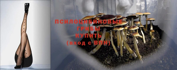 хмурый Волосово